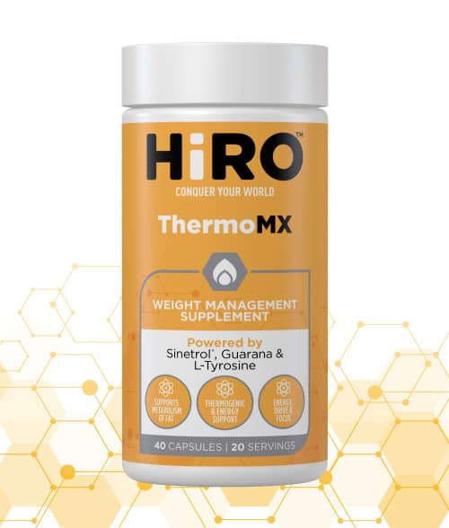 ThermoMX Website Update 01
